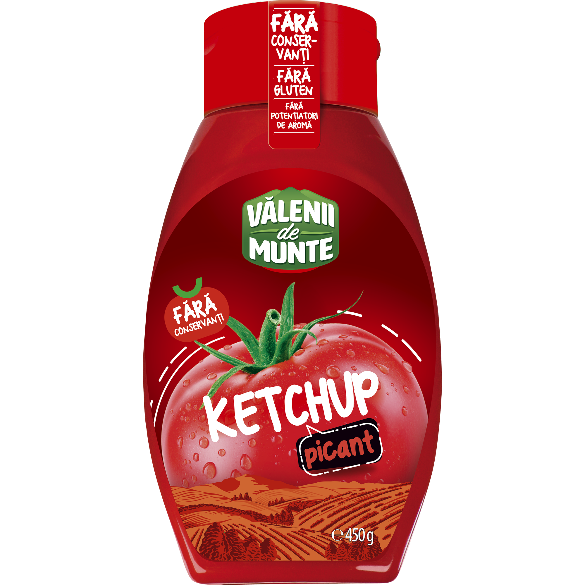 Valenii De Munte Ketchup 450Gr Picant