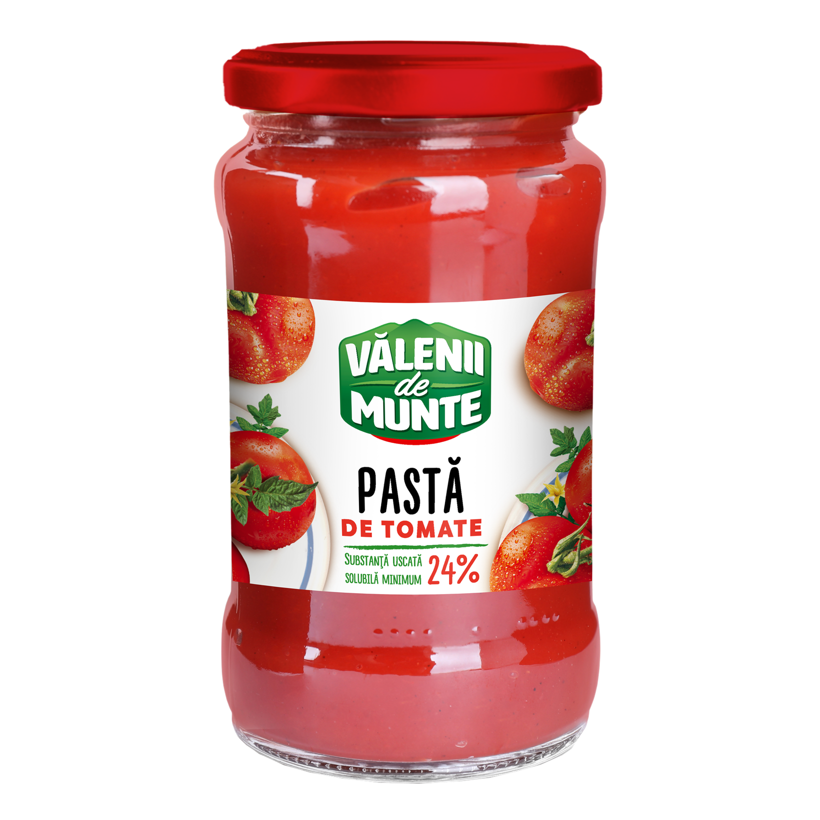 Valenii De Munte Pasta Tomate 310Gr