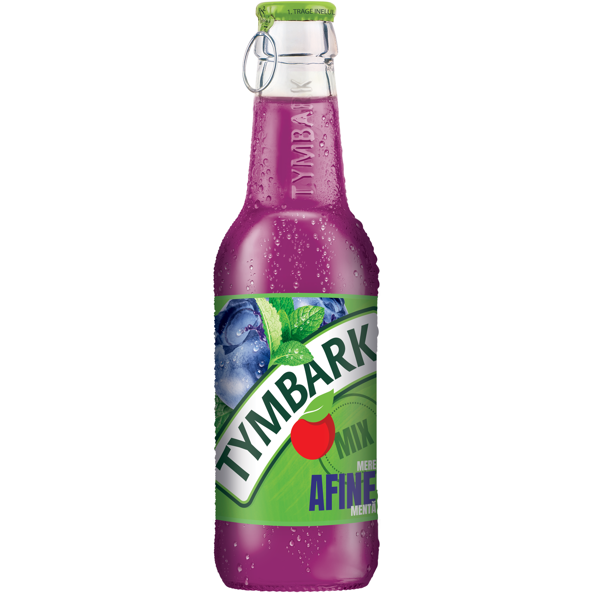 Tymbark Mere/Afine/Menta 0.25L